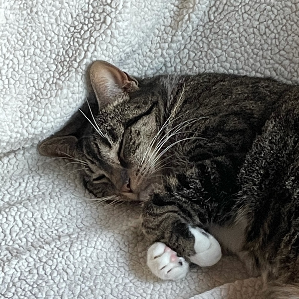 Meet your Posher, Lois